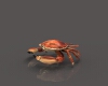 螃蟹-动植物-其它-VR/AR模型-3D城