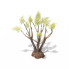 植物-动植物-植物-VR/AR模型-3D城