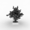 小树-动植物-植物-VR/AR模型-3D城