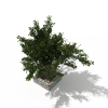 小树-动植物-植物-VR/AR模型-3D城