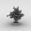 小树-动植物-植物-VR/AR模型-3D城