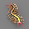 centipede-millipede-sheet-metal-puzzle-metalcraftdesign-3d-model-puzzle-insect-文体生活-玩具-工业CAD模型-3D城
