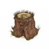 树桩-动植物-植物-VR/AR模型-3D城
