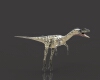 腔骨龙-动植物-爬行动物-VR/AR模型-3D城