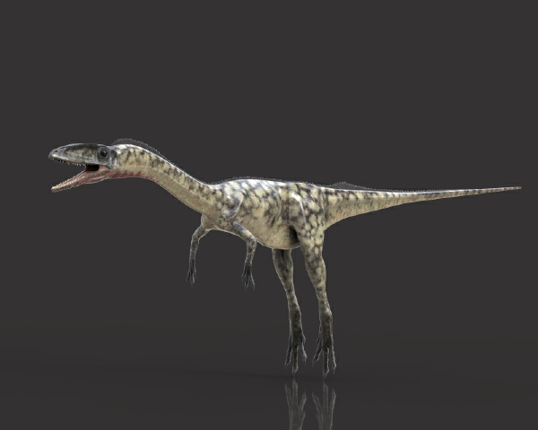 3dcity 专业的vr模型下载与分享平台腔骨龙 动植物 爬行动物 Vr Ar模型 3d城