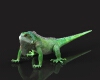 小蜥蜴-动植物-爬行动物-VR/AR模型-3D城