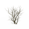 树-动植物-植物-VR/AR模型-3D城