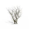 树-动植物-植物-VR/AR模型-3D城