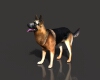 狗-动植物-哺乳动物-VR/AR模型-3D城
