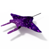 蝙蝠鱼-动植物-鱼类-VR/AR模型-3D城