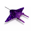 蝙蝠鱼-动植物-鱼类-VR/AR模型-3D城