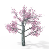 粉红色树-动植物-植物-VR/AR模型-3D城