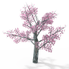 粉红色树-动植物-植物-VR/AR模型-3D城