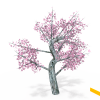 粉红色树-动植物-植物-VR/AR模型-3D城