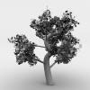 粉红色树-动植物-植物-VR/AR模型-3D城