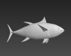 黄鳍金枪鱼-动植物-鱼类-VR/AR模型-3D城