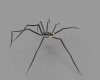 The spider-科技-其它-工业CAD模型-3D城