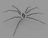 The spider-科技-其它-工业CAD模型-3D城