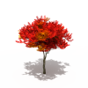 树-动植物-植物-VR/AR模型-3D城