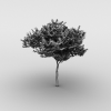 树-动植物-植物-VR/AR模型-3D城