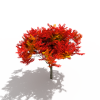 树-动植物-植物-VR/AR模型-3D城