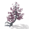 针叶树-动植物-植物-VR/AR模型-3D城