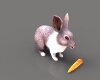 兔子-动植物-哺乳动物-VR/AR模型-3D城