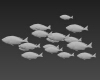 鲷鱼-动植物-鱼类-VR/AR模型-3D城