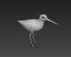 长嘴鸟-动植物-鸟类-VR/AR模型-3D城
