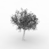 松树-动植物-植物-VR/AR模型-3D城