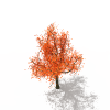 松树-动植物-植物-VR/AR模型-3D城