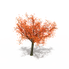 松树-动植物-植物-VR/AR模型-3D城