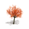 松树-动植物-植物-VR/AR模型-3D城