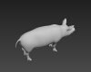 猪-动植物-哺乳动物-VR/AR模型-3D城