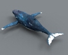 蓝鲸-动植物-哺乳动物-VR/AR模型-3D城