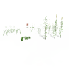 草-动植物-花草-VR/AR模型-3D城