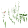 草-动植物-花草-VR/AR模型-3D城