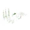 草-动植物-花草-VR/AR模型-3D城