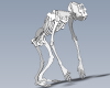 skeleton-文体生活-其它-工业CAD模型-3D城
