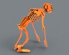 skeleton-文体生活-其它-工业CAD模型-3D城