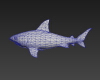 大鲨鱼-动植物-其它-VR/AR模型-3D城