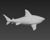大鲨鱼-动植物-其它-VR/AR模型-3D城