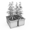 植物-动植物-盆栽-VR/AR模型-3D城