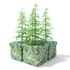 植物-动植物-盆栽-VR/AR模型-3D城