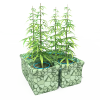 植物-动植物-盆栽-VR/AR模型-3D城