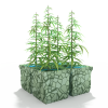 植物-动植物-盆栽-VR/AR模型-3D城