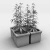 植物-动植物-盆栽-VR/AR模型-3D城