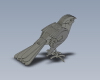 bird-动植物-鸟类-VR/AR模型-3D城