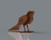 bird-动植物-鸟类-VR/AR模型-3D城