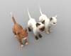 猫-动植物-哺乳动物-VR/AR模型-3D城